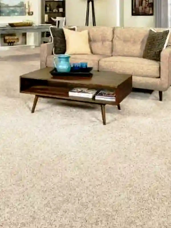 Ассортимент продукции Axminster Carpet Outlet